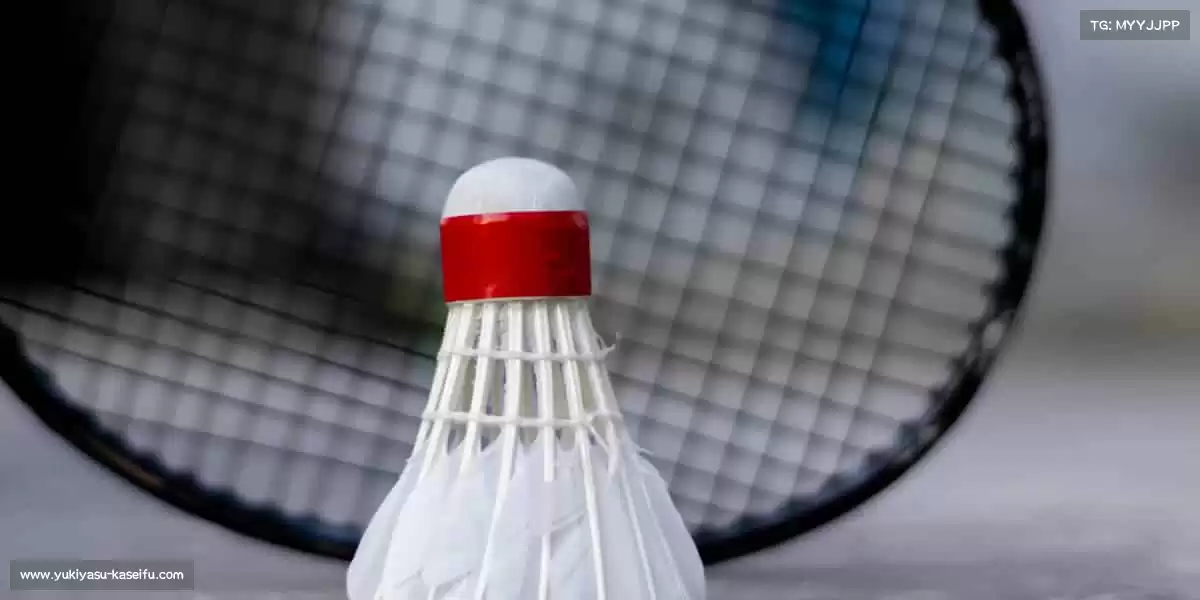 为什么选择我们